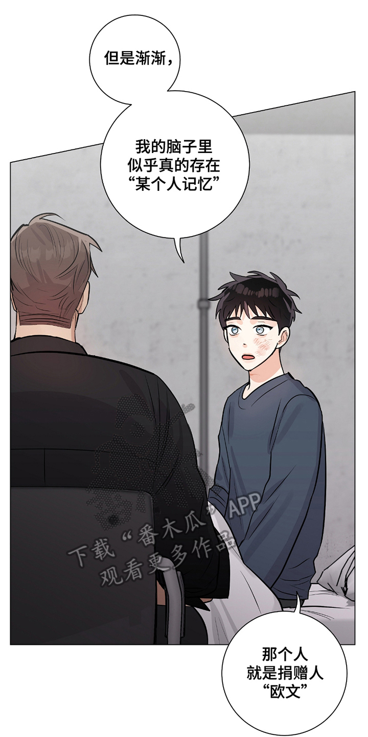 欧文受过哪些伤漫画,第12章：谨慎处理3图