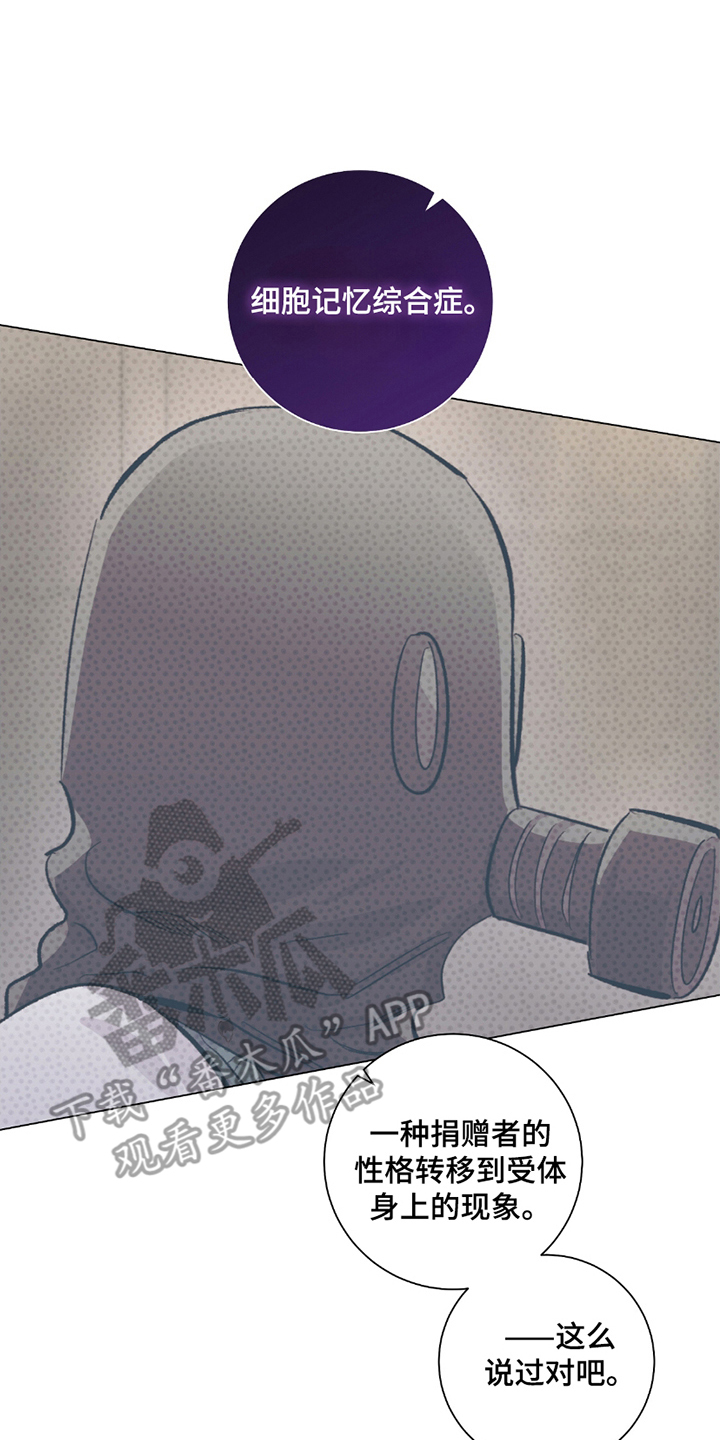 欧文受过哪些伤漫画,第12章：谨慎处理1图