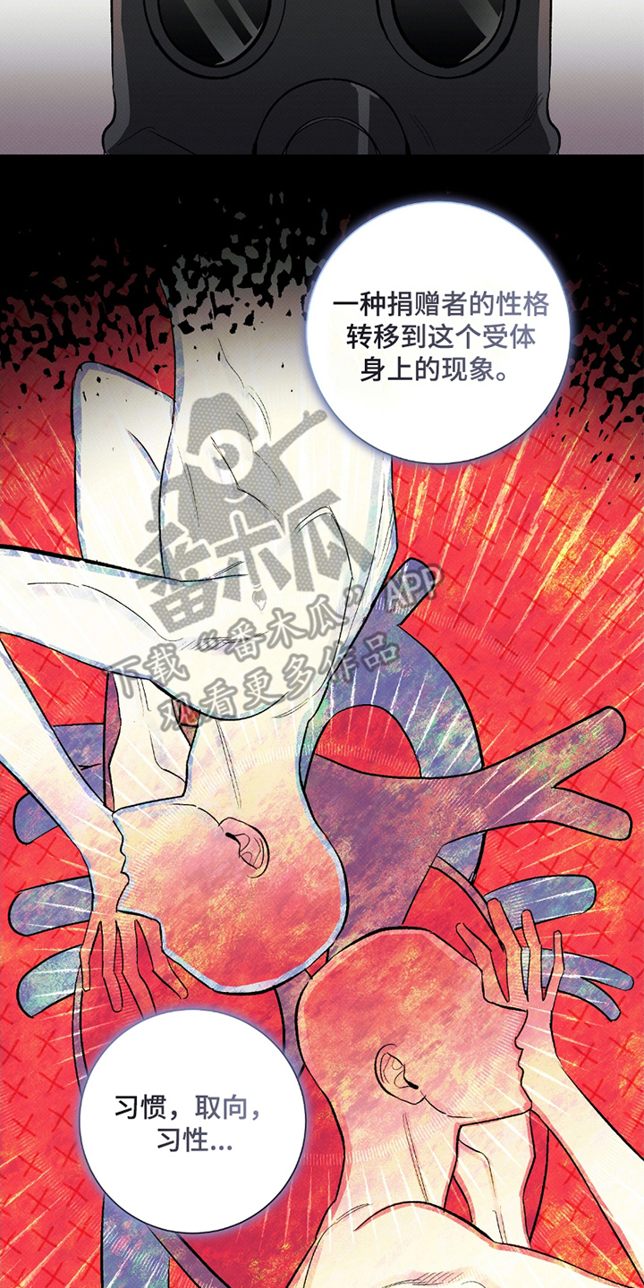第5章：记忆综合症3