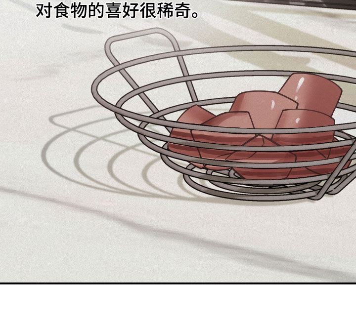 负罪缩影有小说吗漫画,第66章：观察总结2图