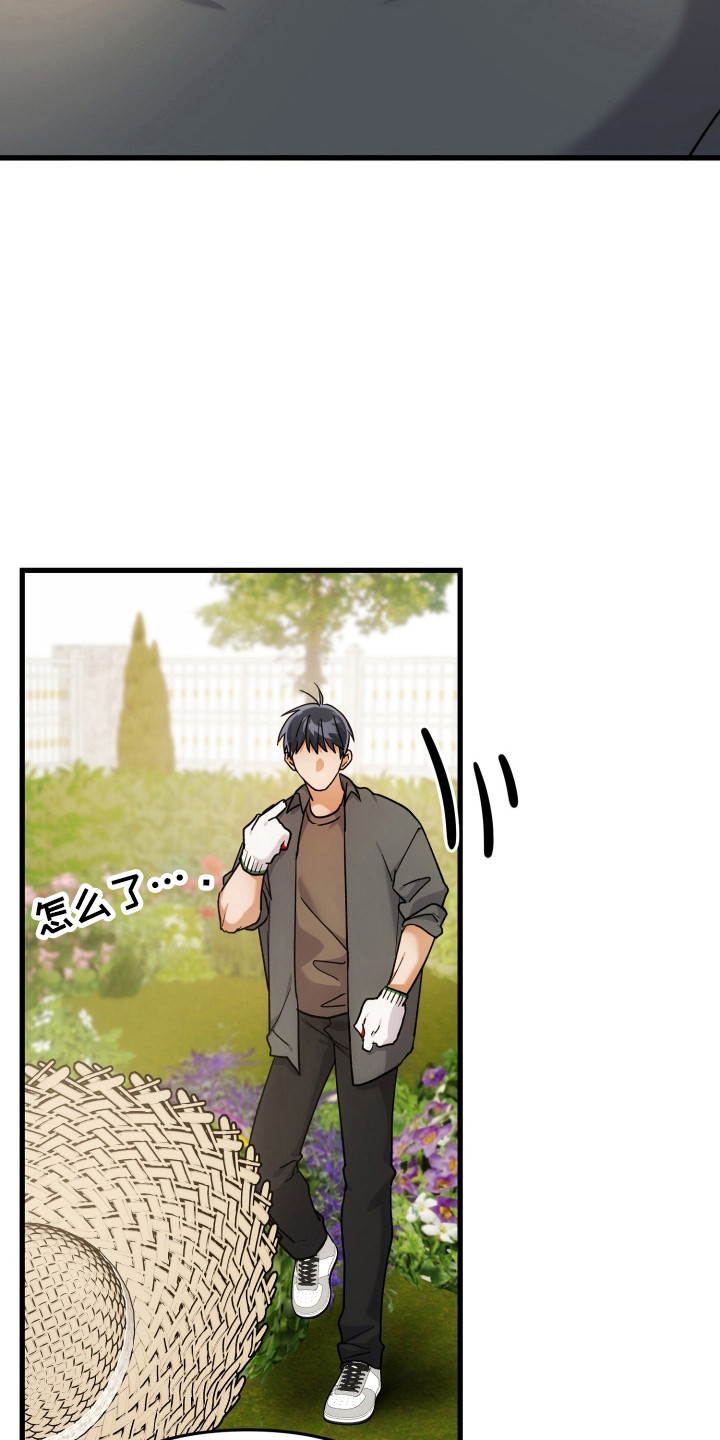 灰熊的玫瑰住宅漫画,第68章：模糊的梦3图