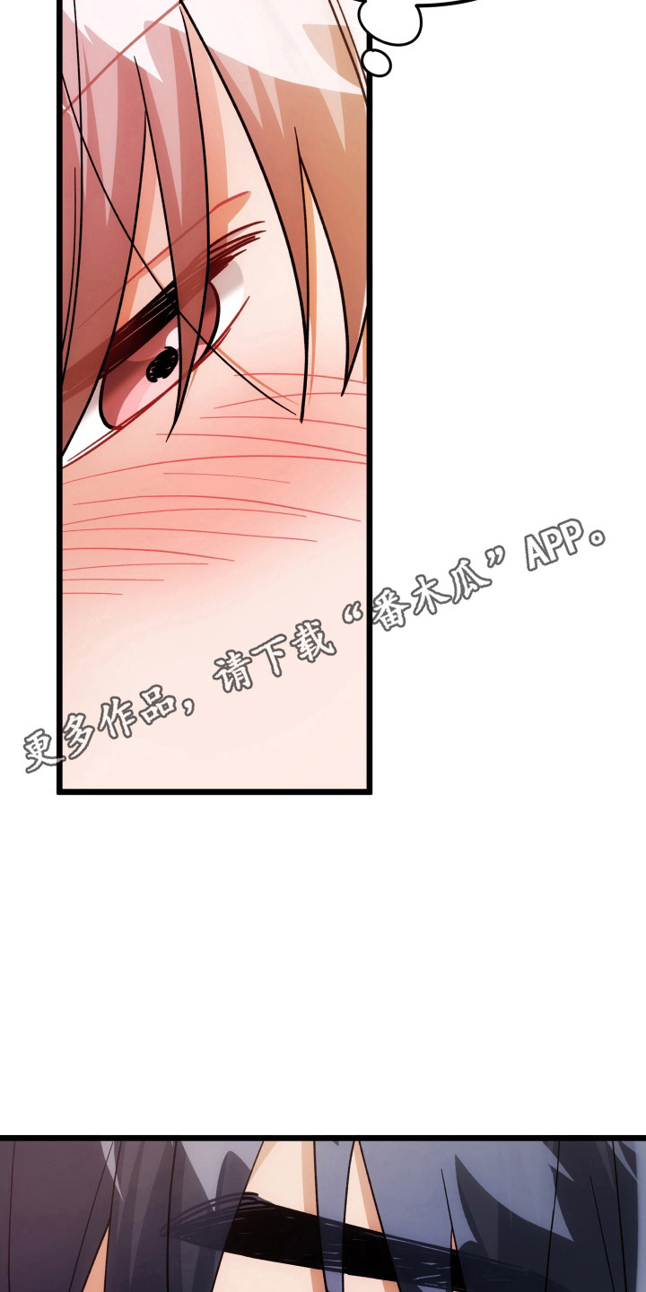 灰熊丘陵住宅漫画,第71章：经验不足3图