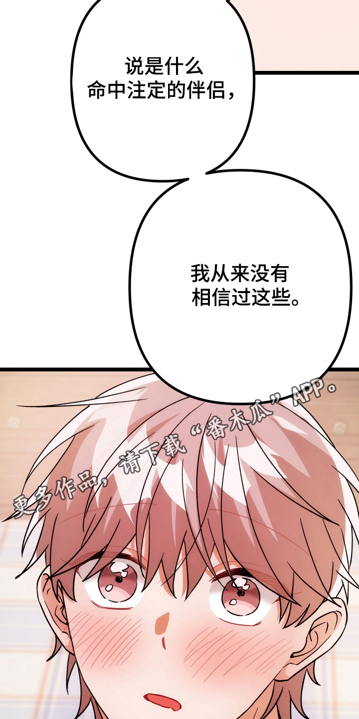 灰熊的玫瑰住宅漫画,第75章：没有相信5图