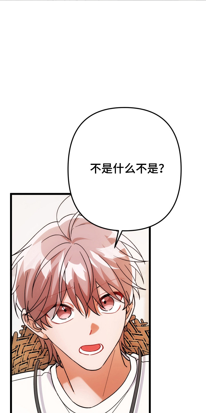 灰熊的玫瑰住宅漫画,第70章：装模作样5图