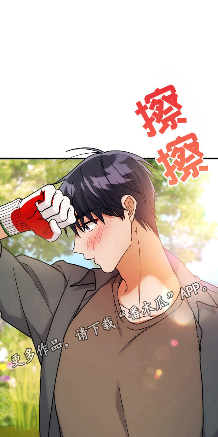 灰熊丘陵房屋漫画,第68章：模糊的梦5图