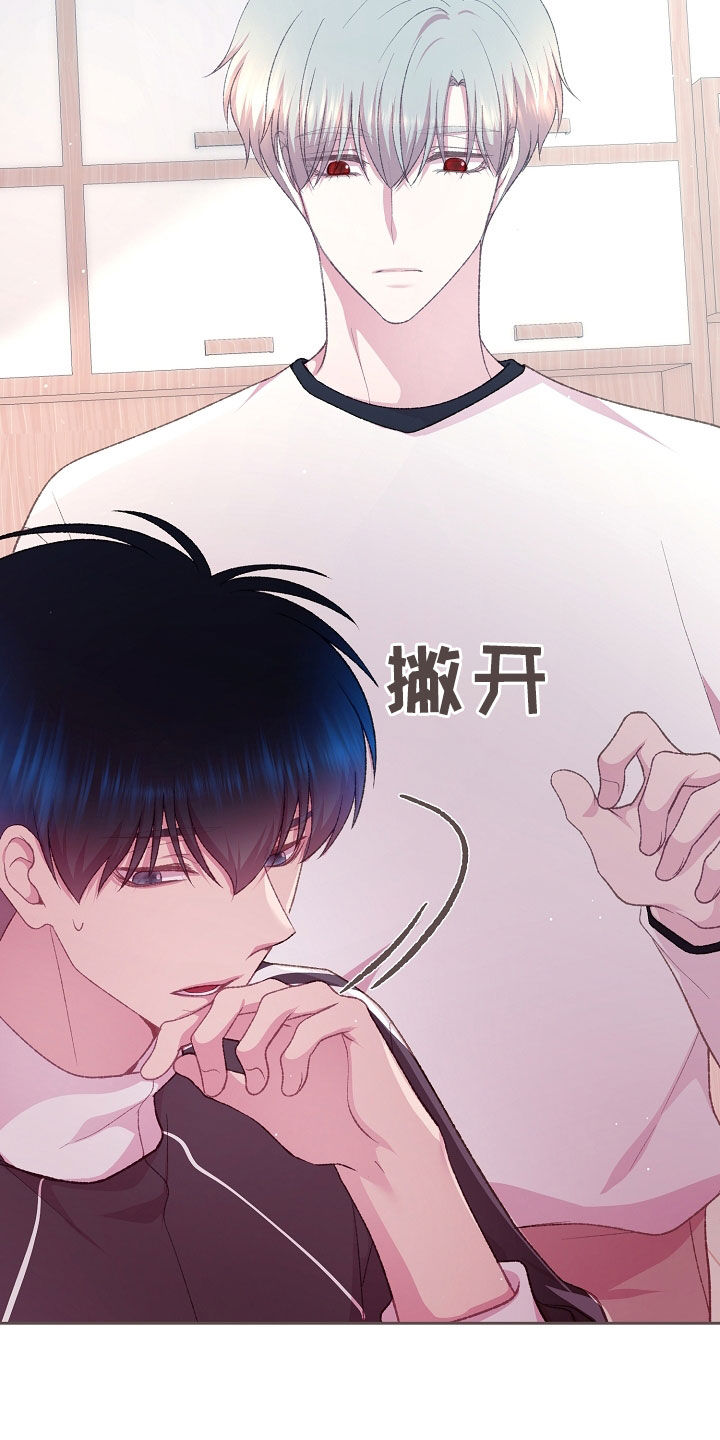 命运伴侣漫画,第81章：别的办法3图