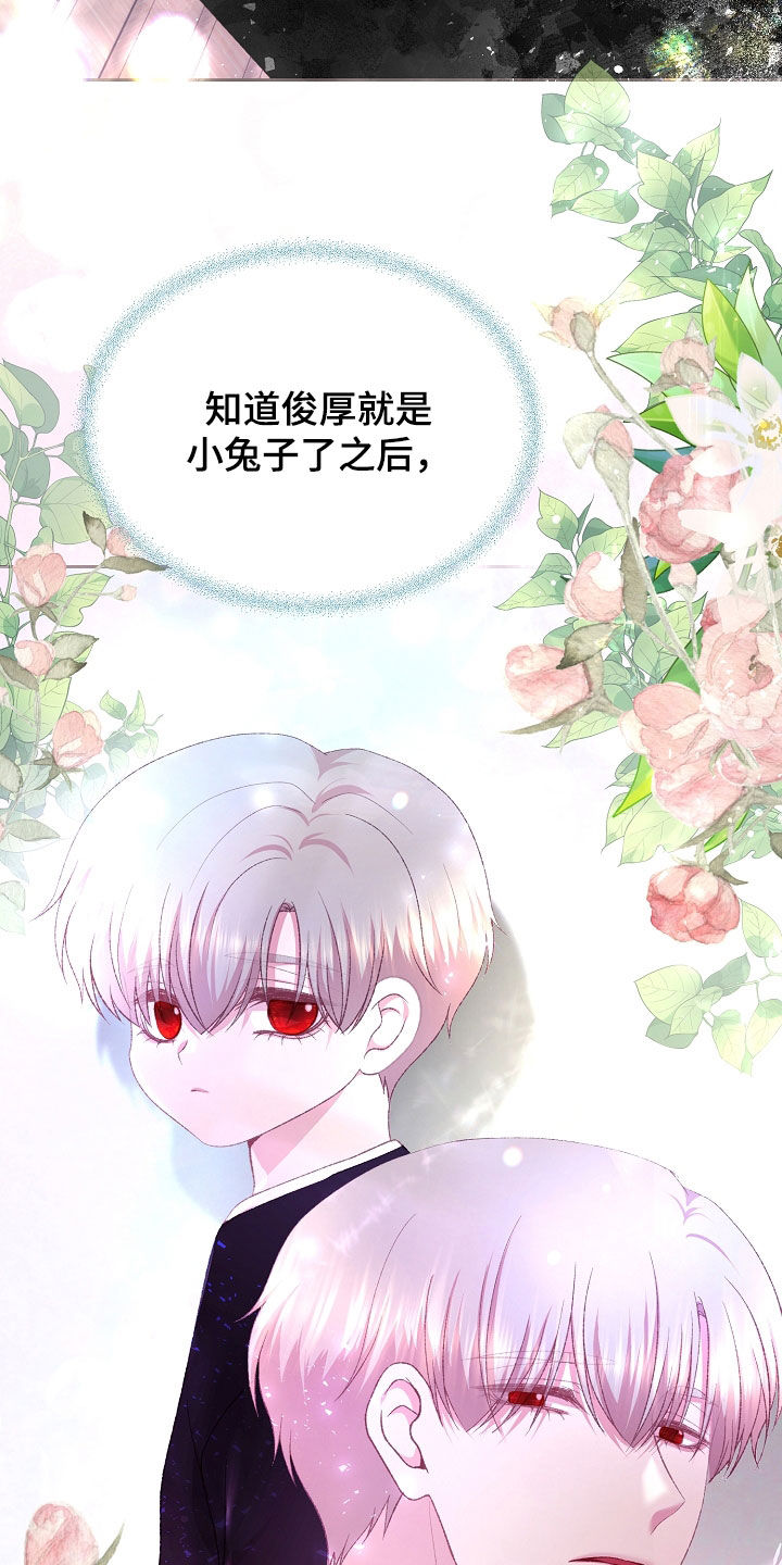 第81章：别的办法0