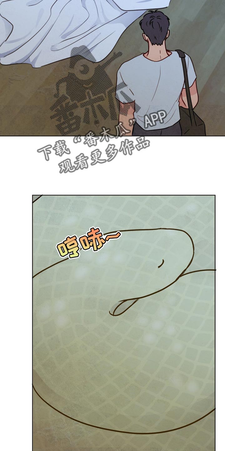 与神相交的人应该到哪里漫画,第33章：靠我的能力3图