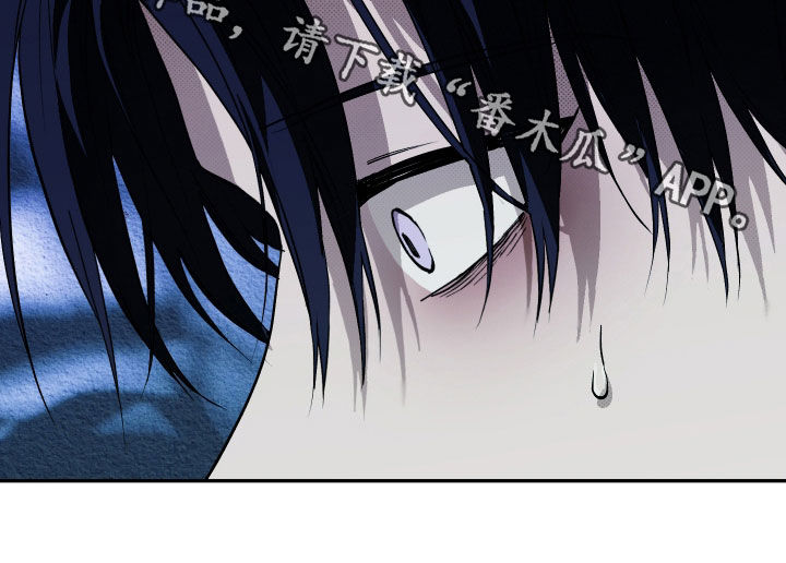 我的小笨熊漫画,第31章：重要信息1图