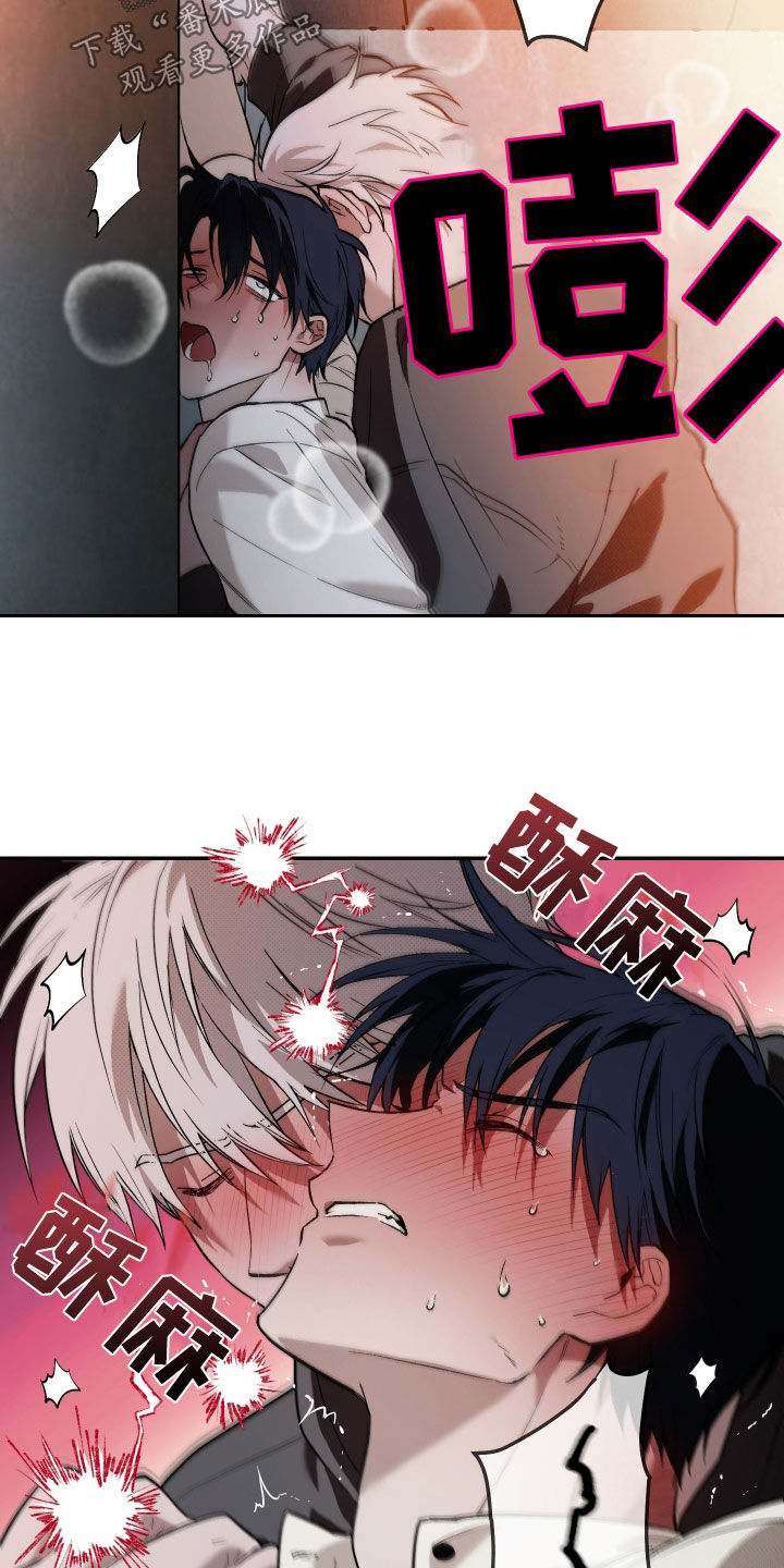 我的小笨熊漫画,第34章：够了2图