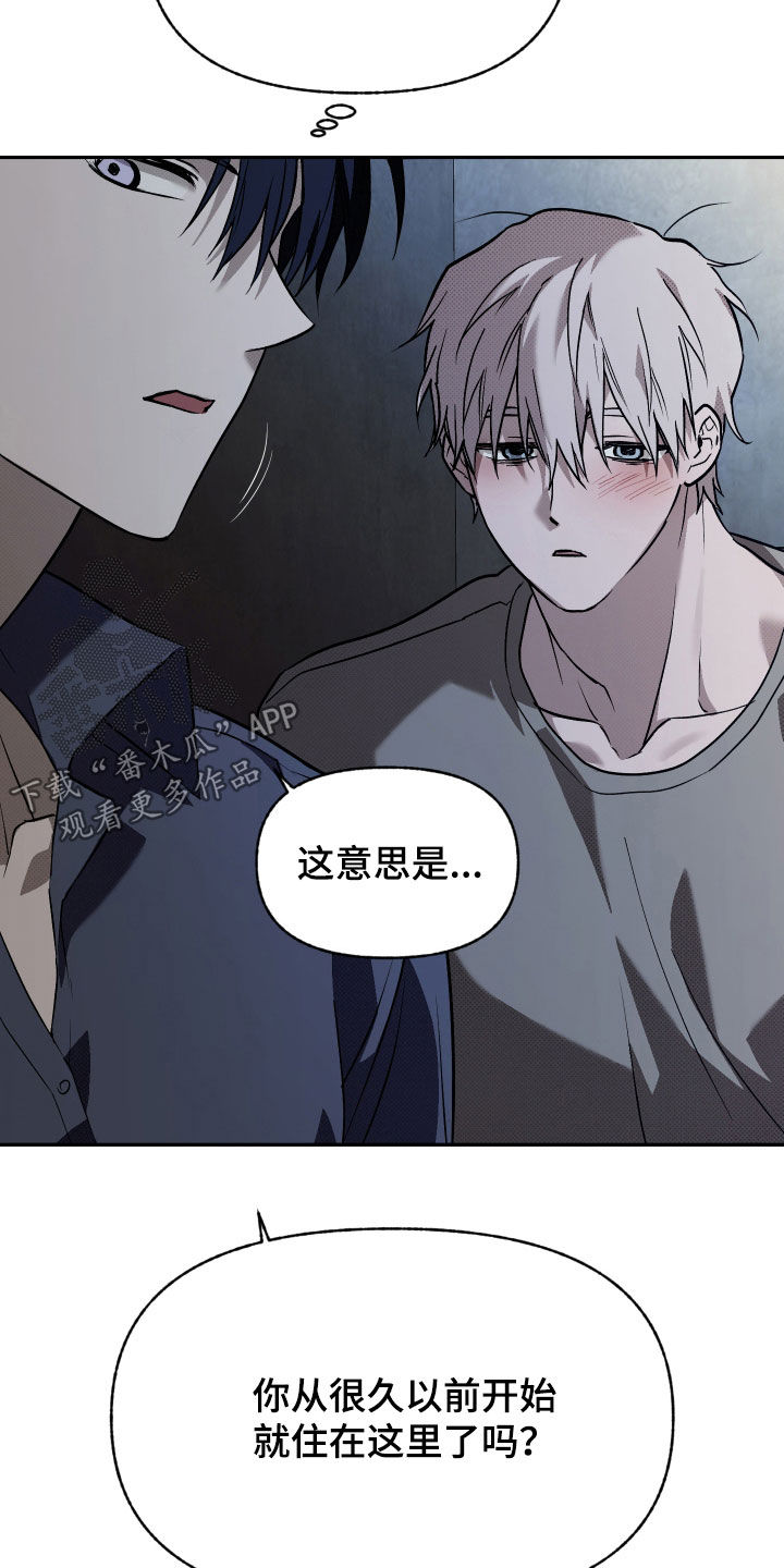 我的小笨熊漫画,第31章：重要信息3图