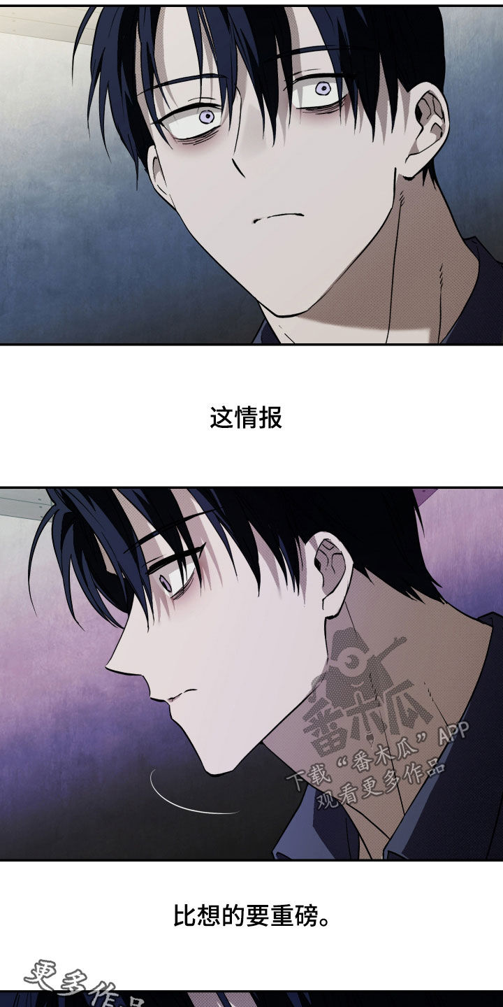 我的小笨熊漫画,第31章：重要信息5图