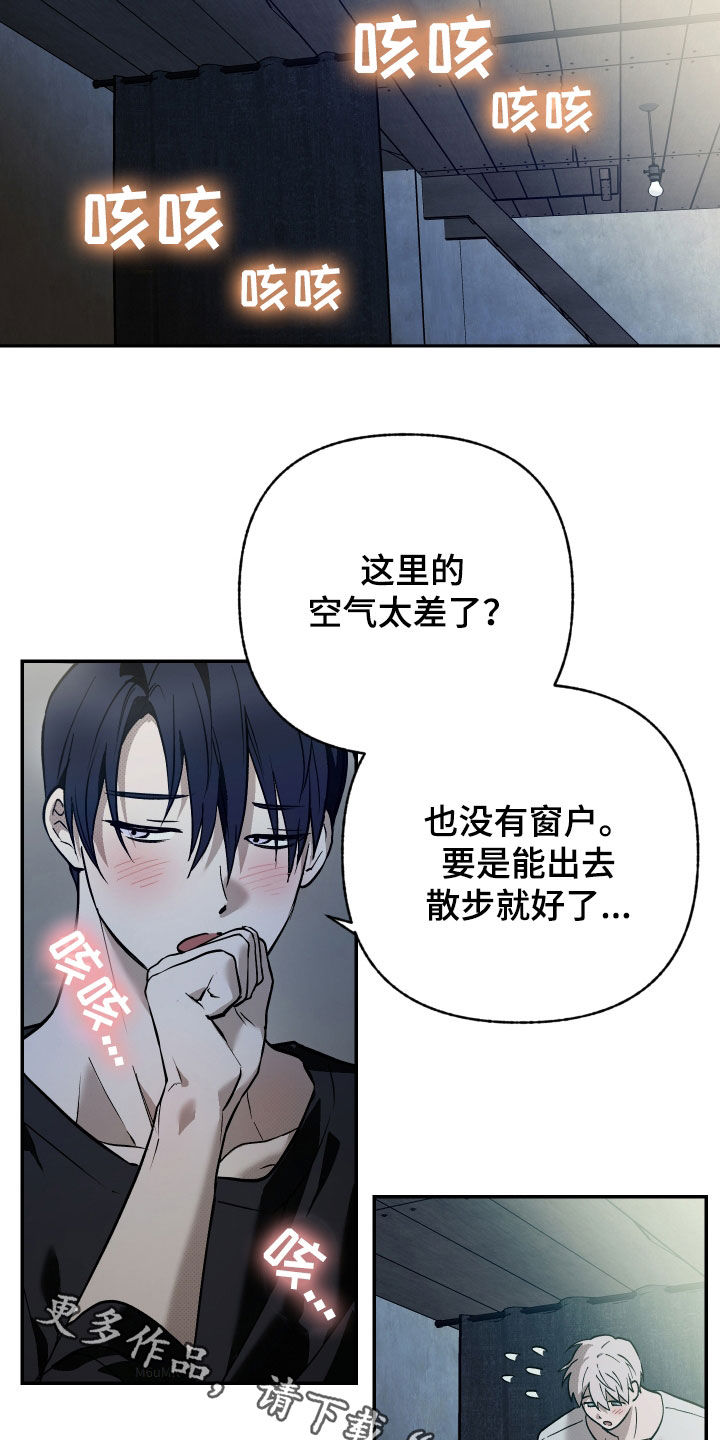 我的小笨熊漫画,第33章：不上当1图