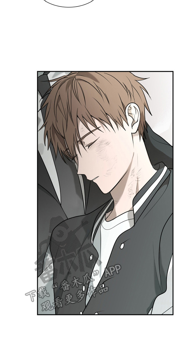 如意追影电视剧全集免费观看漫画,第4章：治愈5图