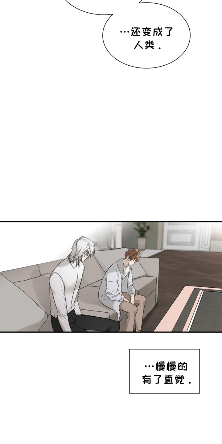 如意珠子手链漫画,第7章：转机5图