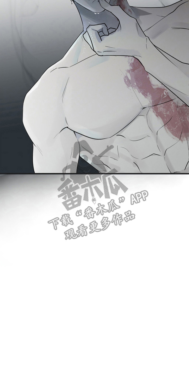 如意珠获取地点漫画,第11章：夜袭4图