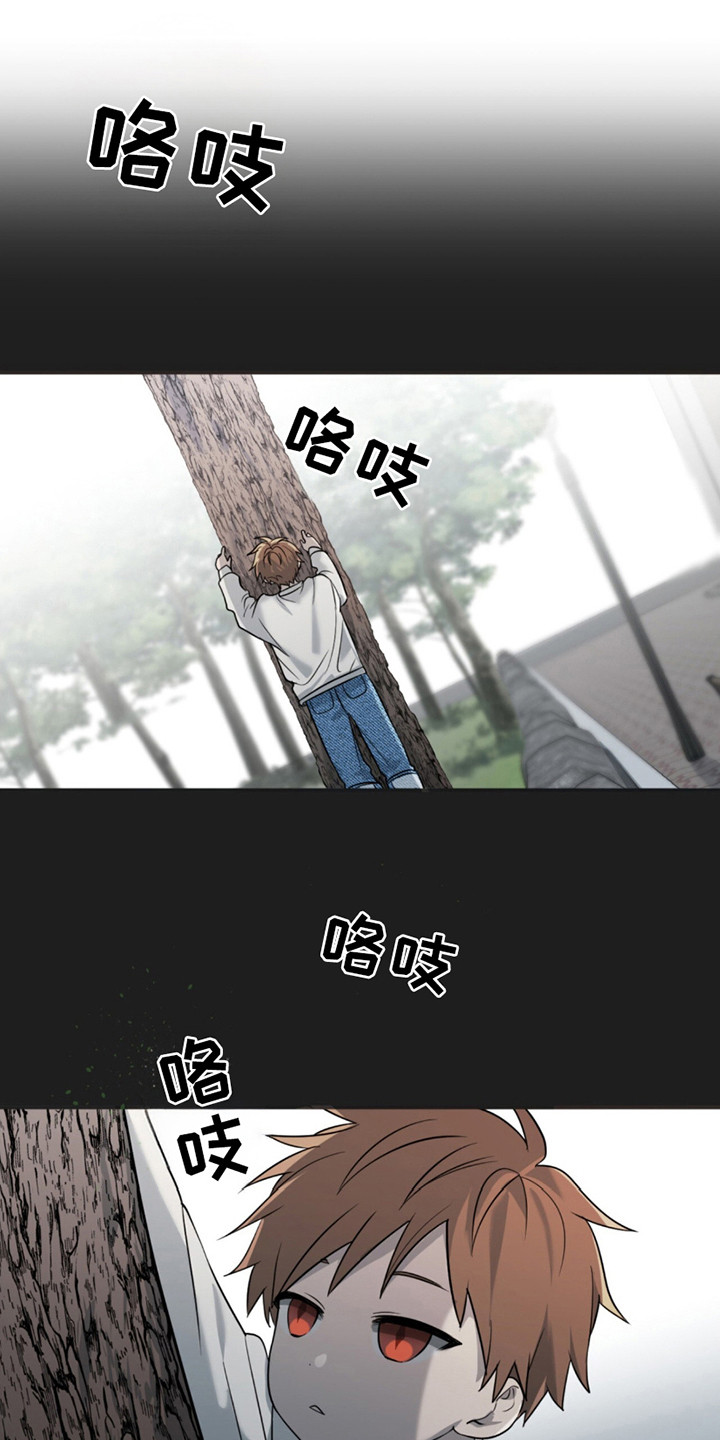 如意珠获取地点漫画,第11章：夜袭1图