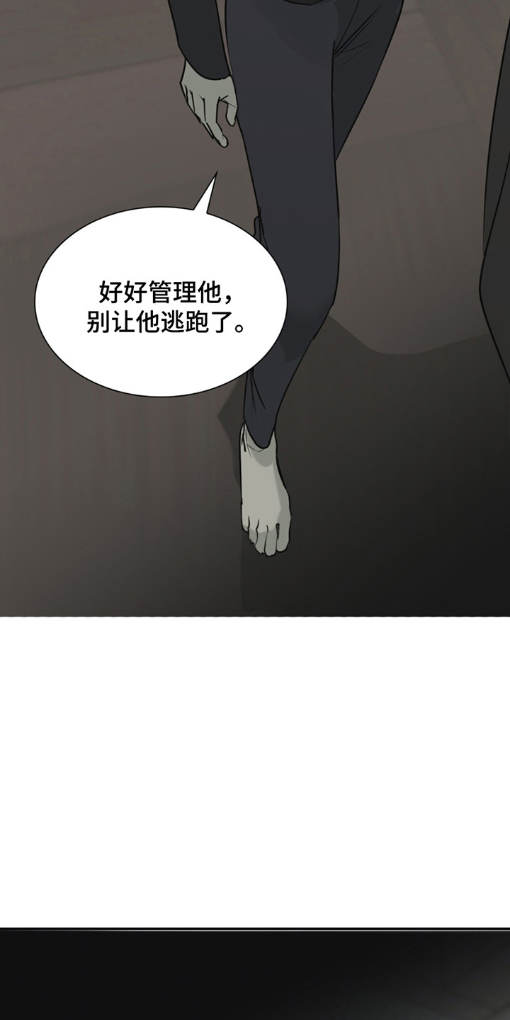 如意追影电视剧全集免费观看漫画,第4章：治愈2图