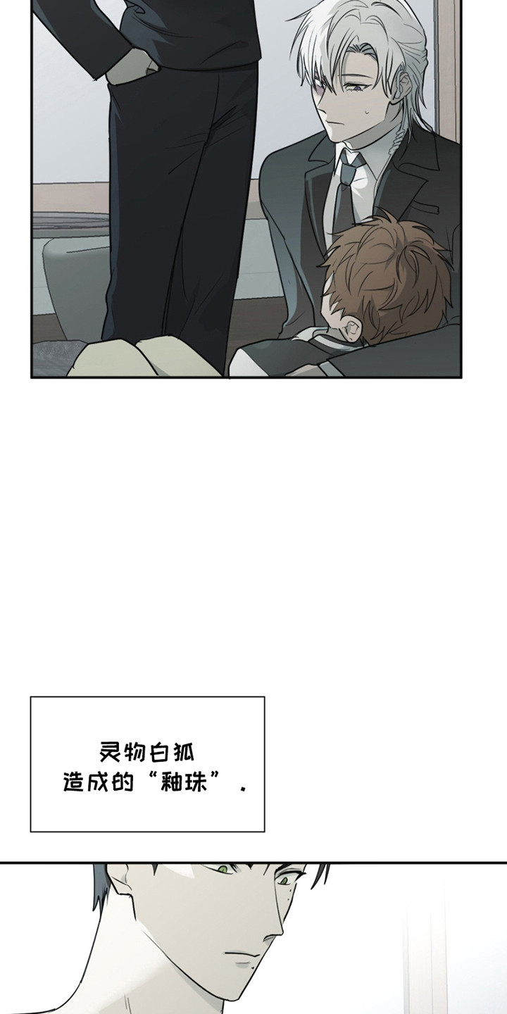 如意追影电视剧全集免费观看漫画,第4章：治愈5图