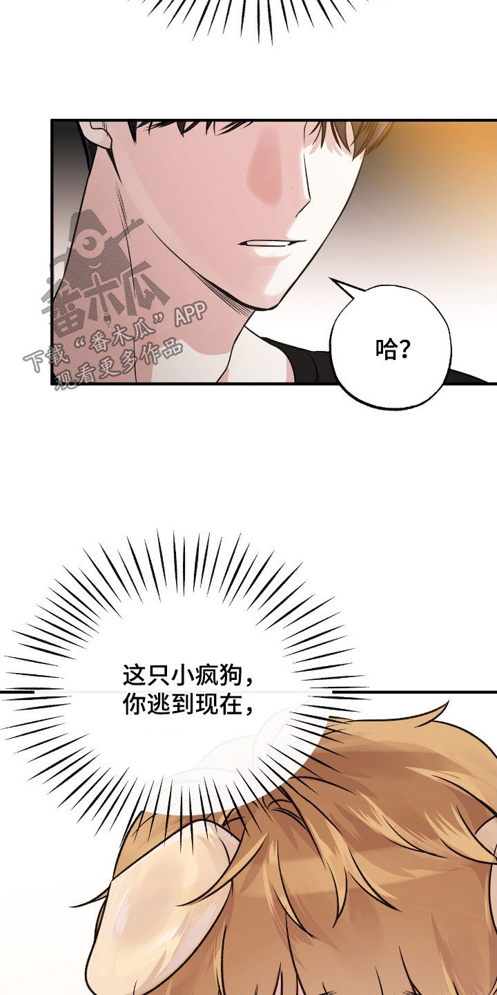 他的专属小狗漫画,第70章：泪眼汪汪3图