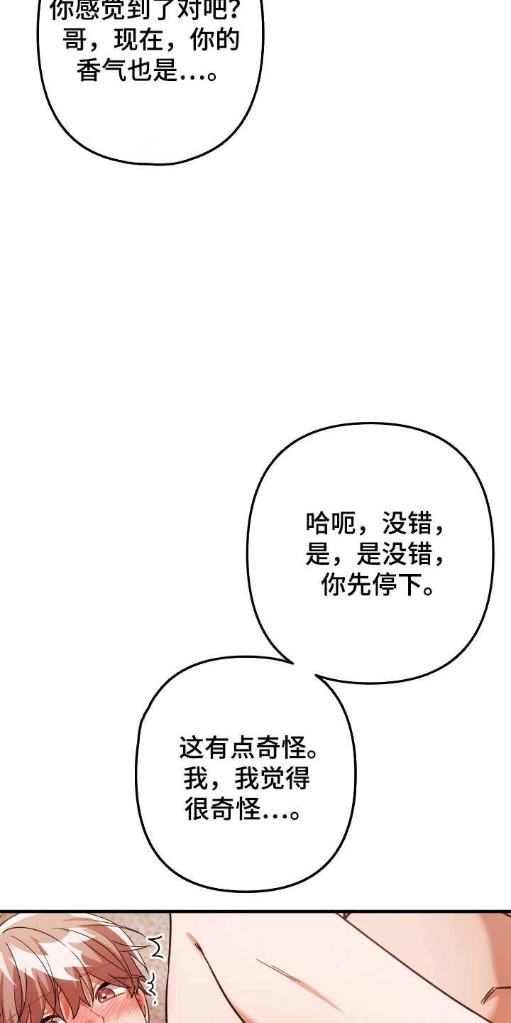 灰熊的玫瑰住宅漫画,第88章：当然愿意1图