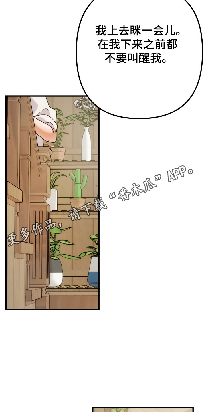 灰熊的玫瑰住宅漫画,第85章：安慰1图