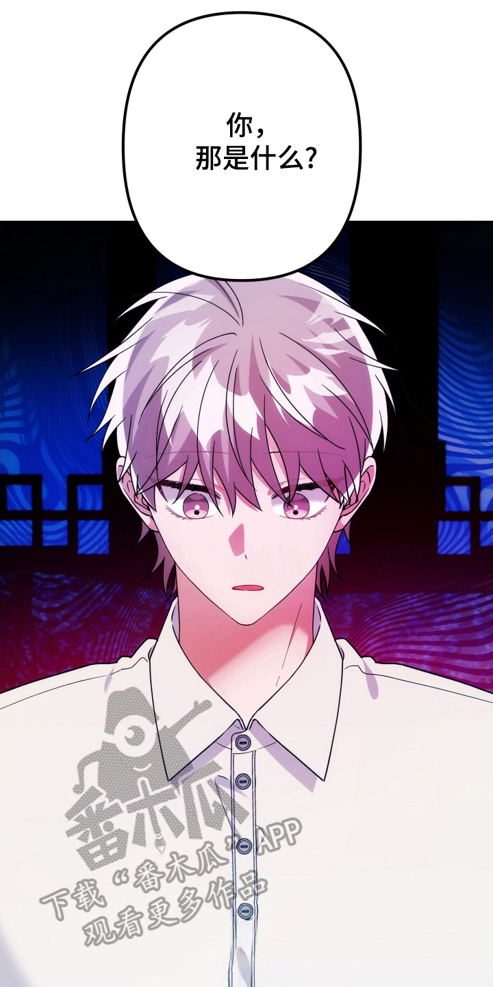 灰熊的玫瑰住宅小说漫画,第81章：不满气氛3图