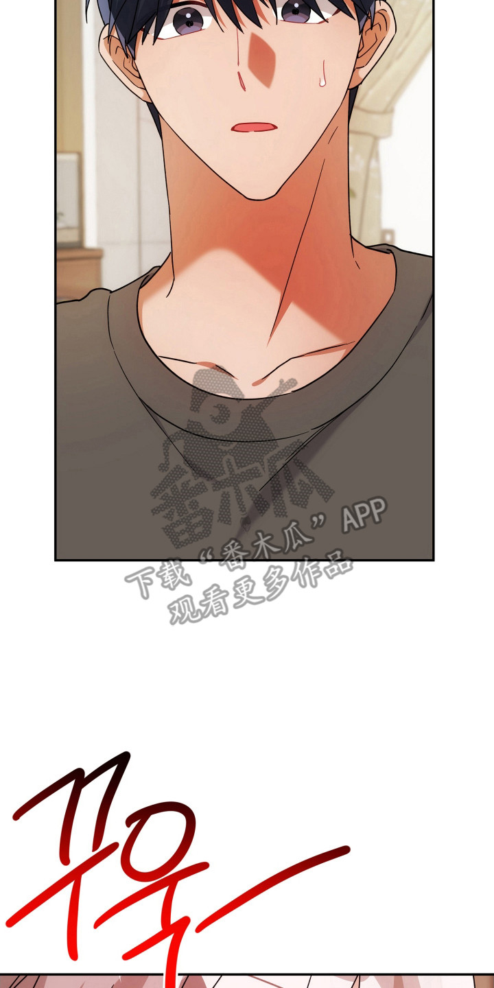 灰熊的住宅漫画,第82章：怀恨在心5图