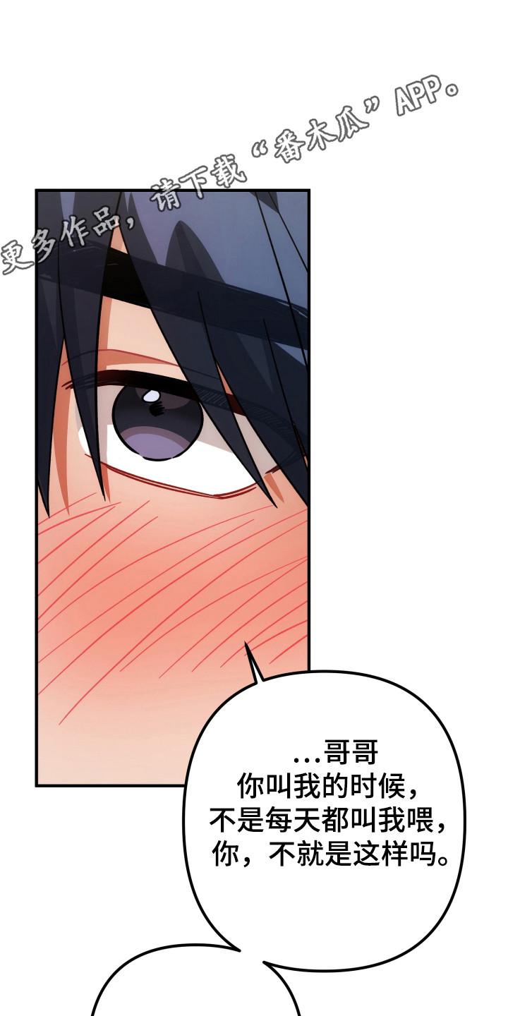 灰熊丘陵房子漫画,第87章：什么好消息3图