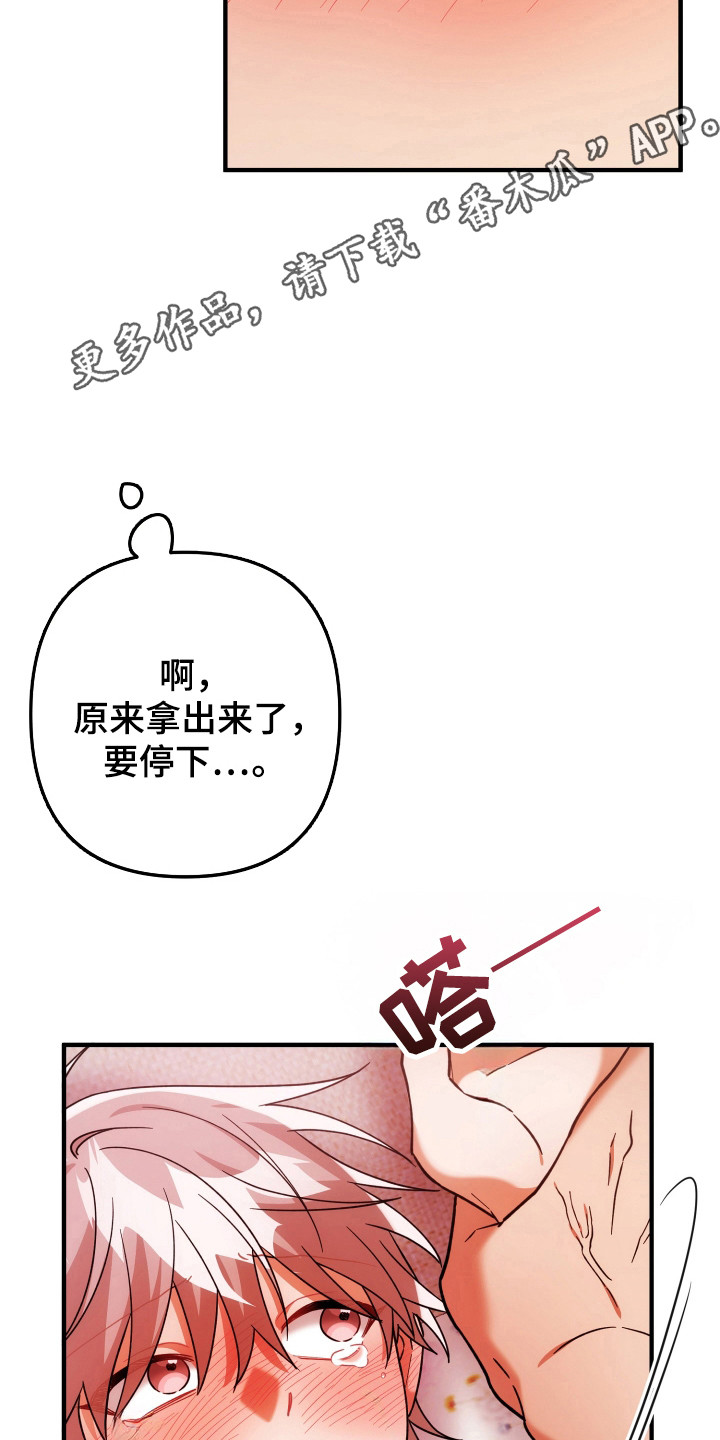 灰熊的玫瑰住宅漫画,第88章：当然愿意5图