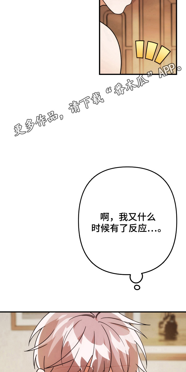 灰熊丘陵住宅漫画,第89章：什么约定1图