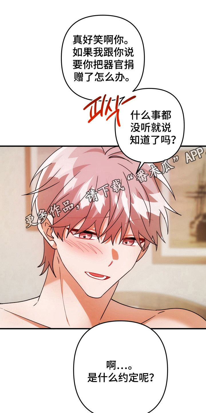 灰熊丘陵住宅漫画,第89章：什么约定1图