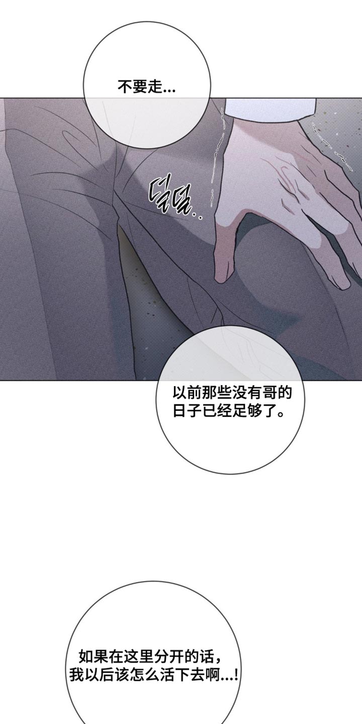 迟来的亲情比草贱短剧免费观看全集高清漫画,第61章：拜托不要推开我5图