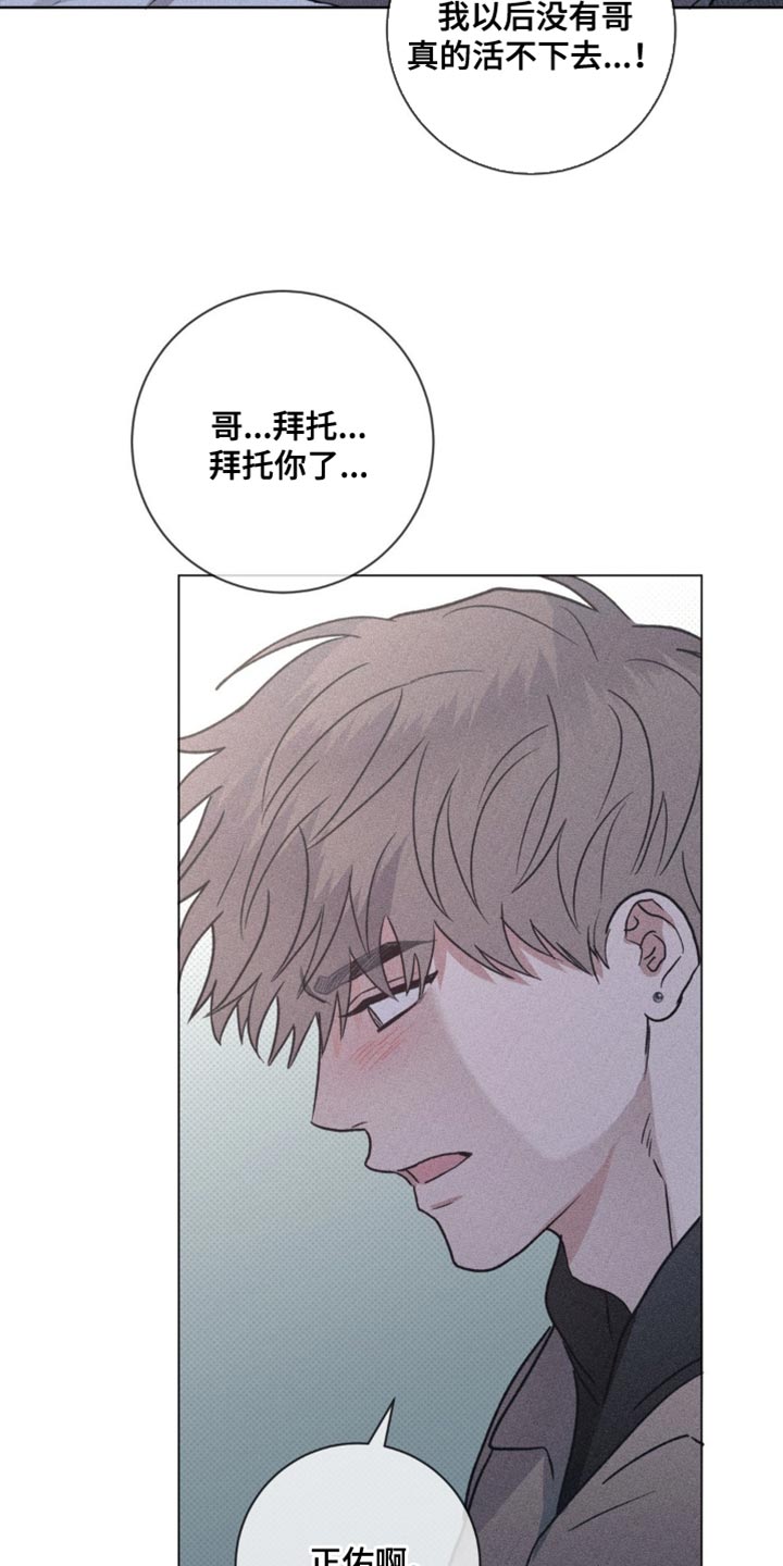 迟来的亲情比草贱短剧免费观看全集高清漫画,第61章：拜托不要推开我2图