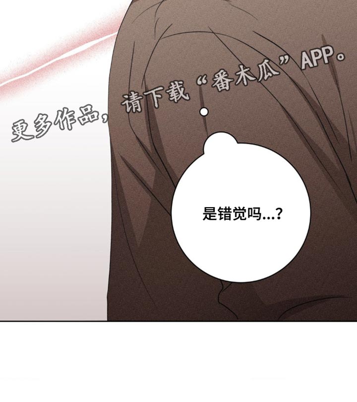 迟来的伴侣漫画全集完整版漫画,第63章：错觉2图