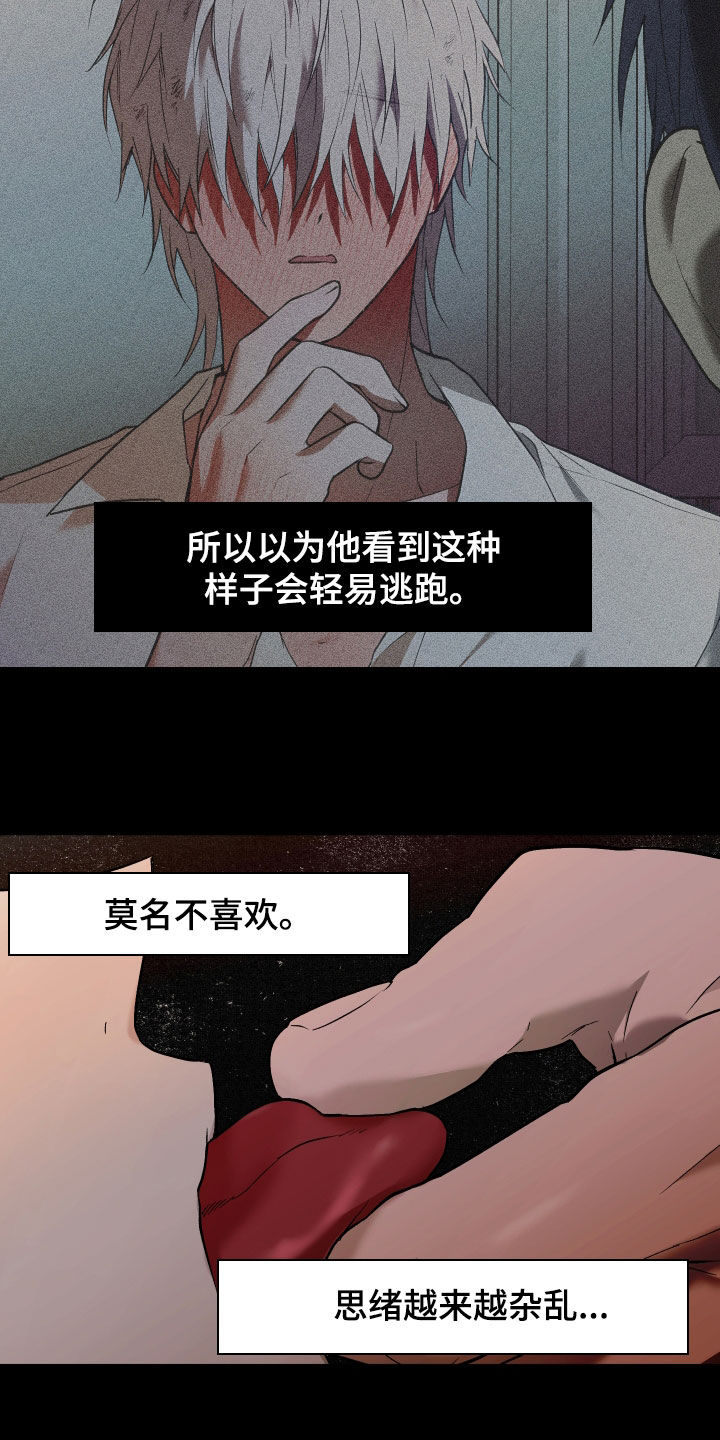 我的小笨熊漫画,第49章：跟我走1图