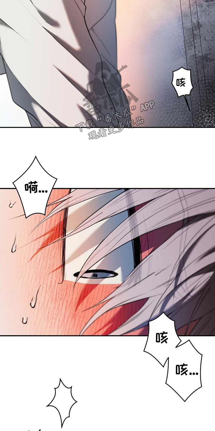 我的小笨熊漫画,第51章：喜欢的表情4图