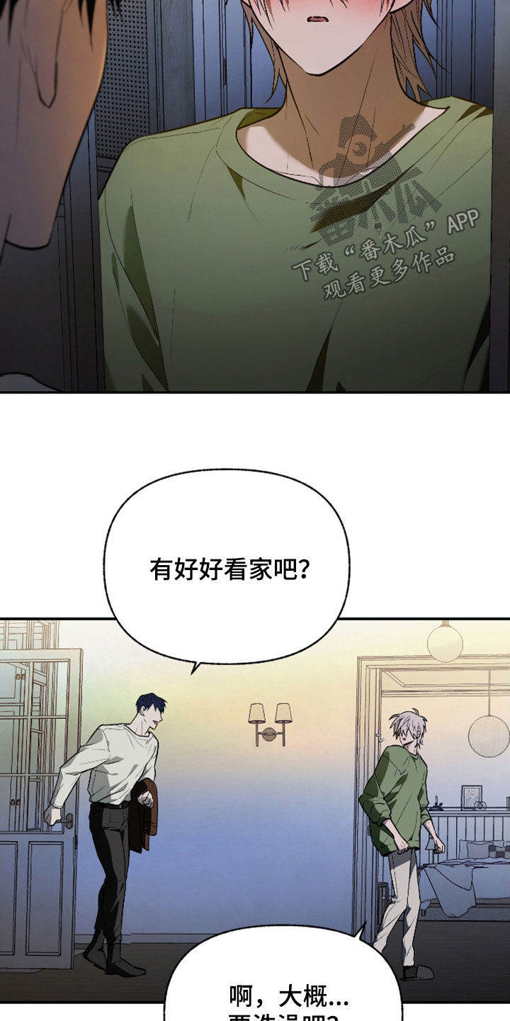 我的小笨熊漫画,第47章：宠物5图