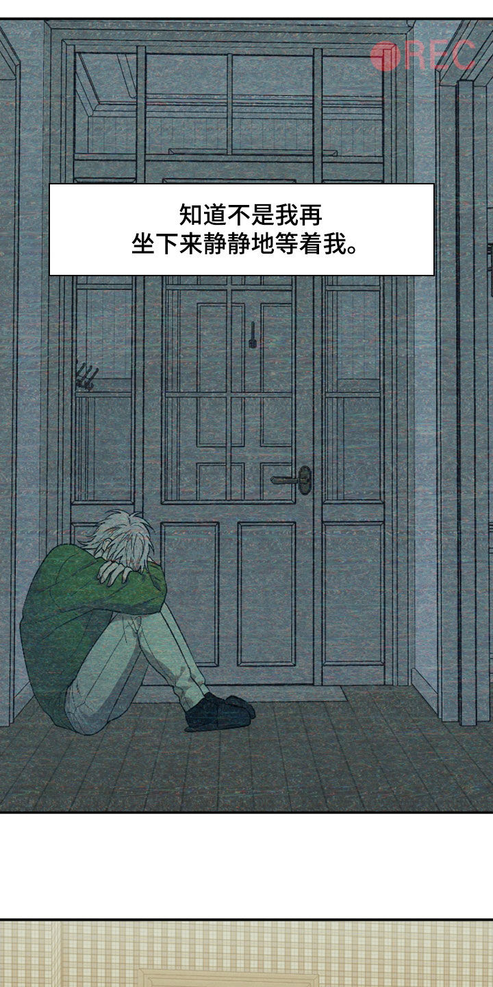 我的小笨熊漫画,第47章：宠物1图
