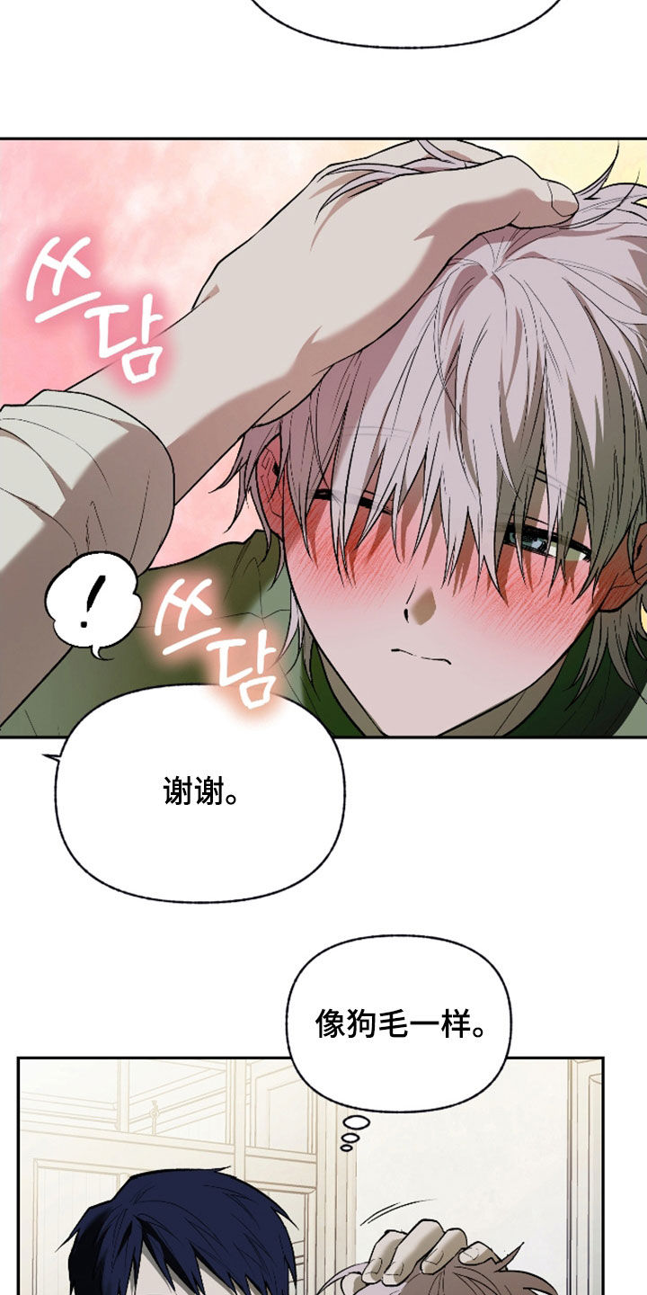 我的小笨熊漫画,第47章：宠物3图