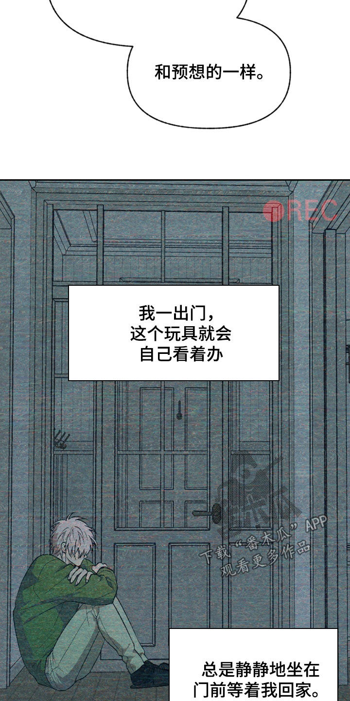 我的小笨熊漫画,第47章：宠物4图
