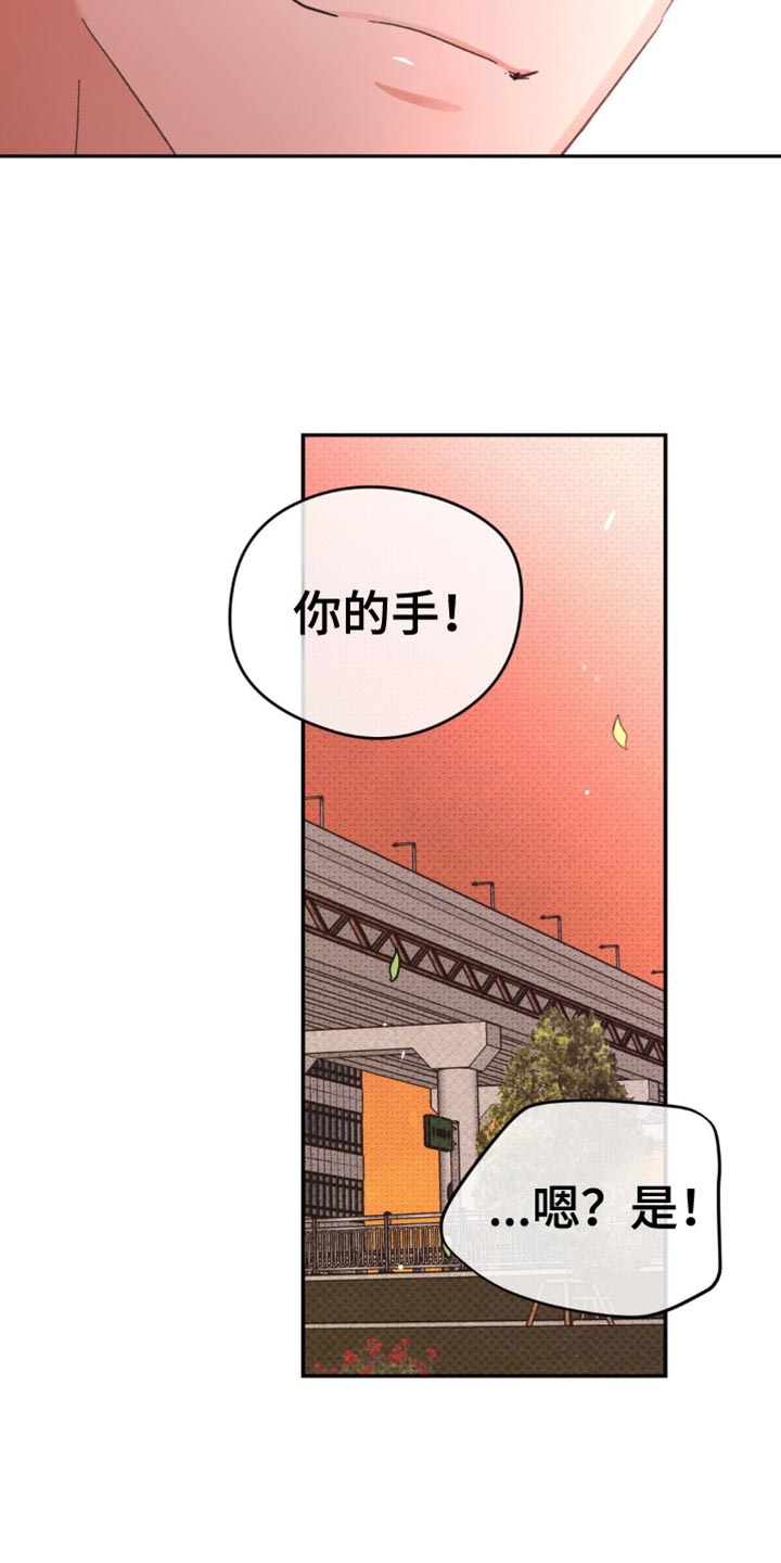 随声而动漫画,第37章：我很爱你【完结】4图