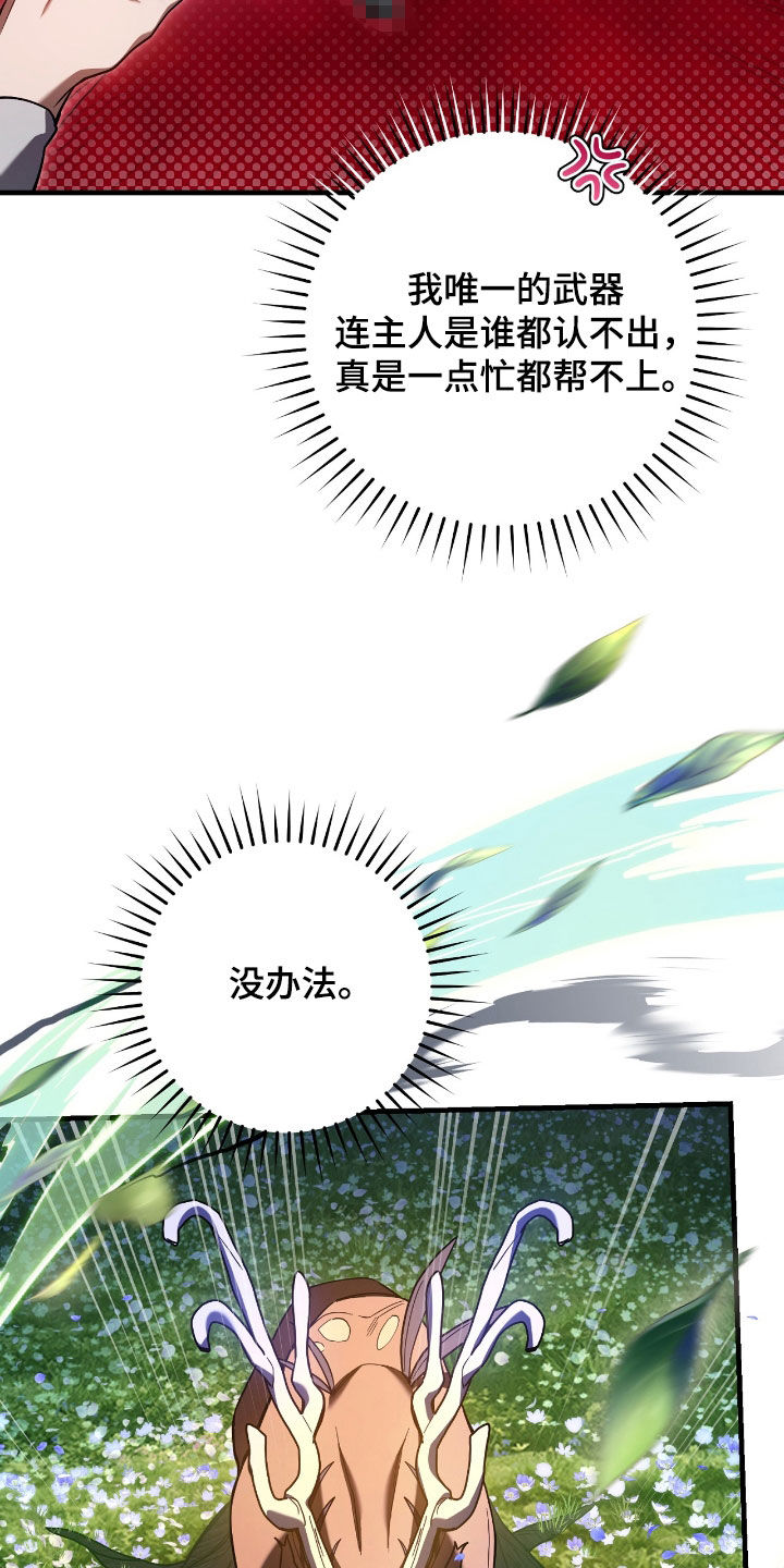 猎人回血装备漫画,第43章：认不出主人1图