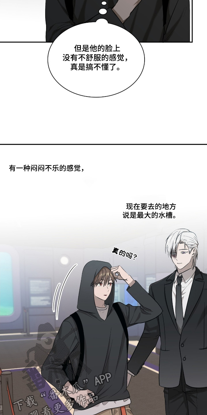 如意珠手印图片漫画,第34章：果然是3图