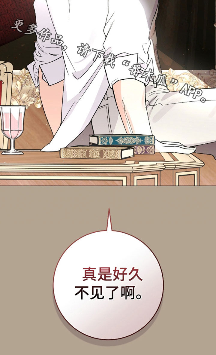 第28章：好久不见3