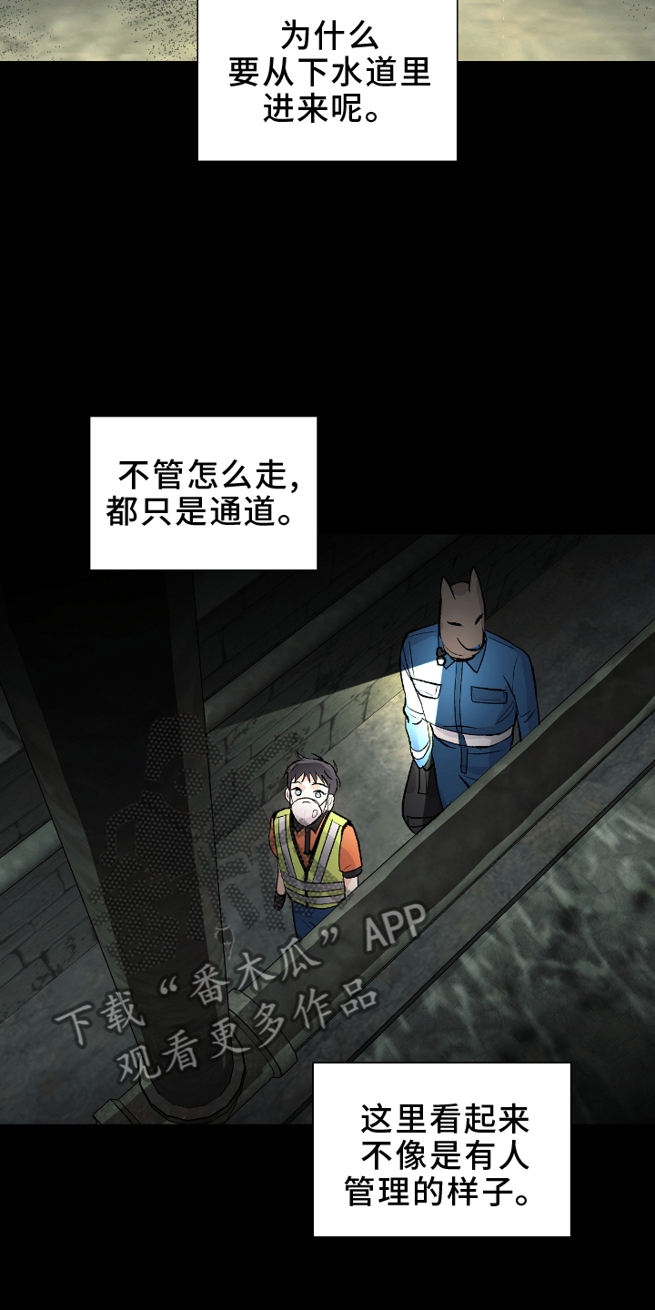 欧文受了什么伤漫画,第23章：闲聊3图