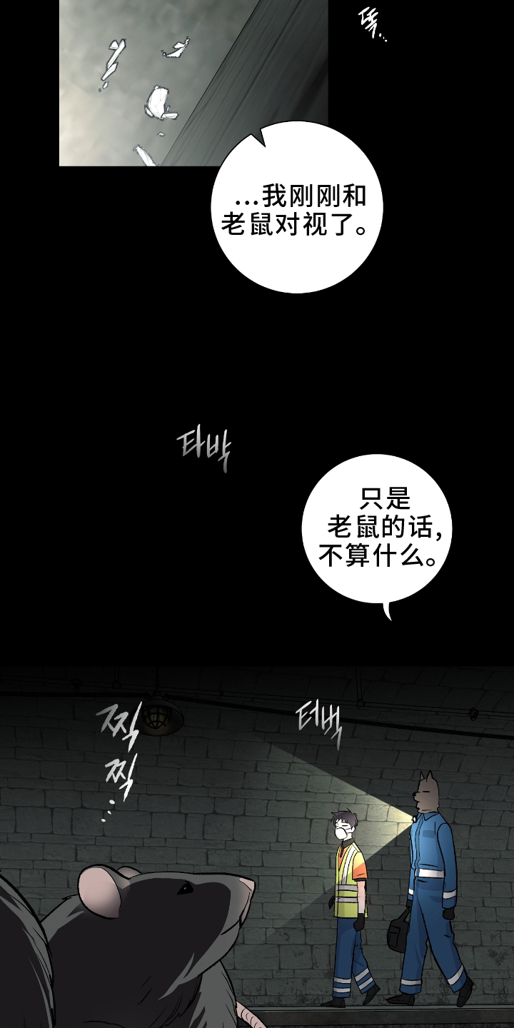 欧文的比赛漫画,第23章：闲聊5图