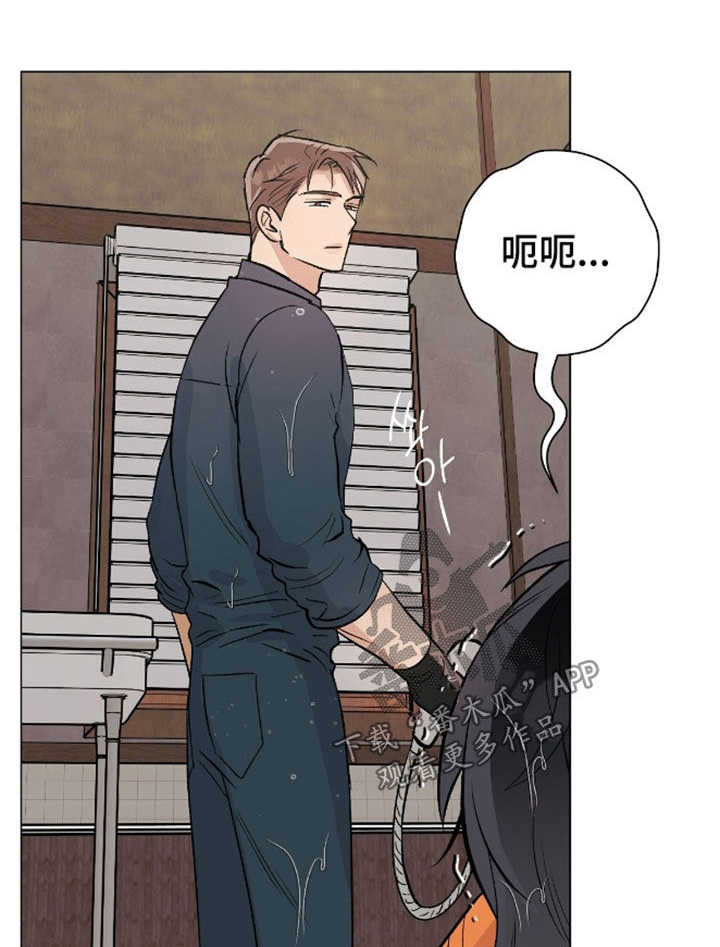 第28章：好久不见4