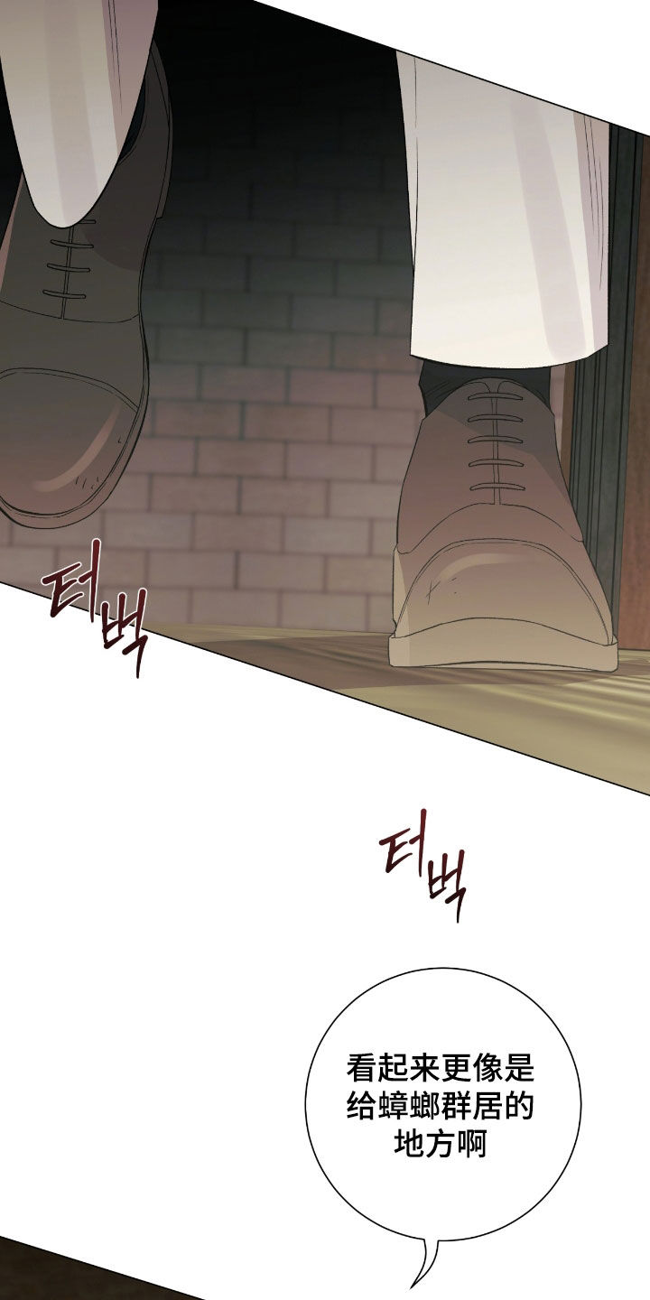 欧文的伤病有多严重漫画,第30章：好久不见4图