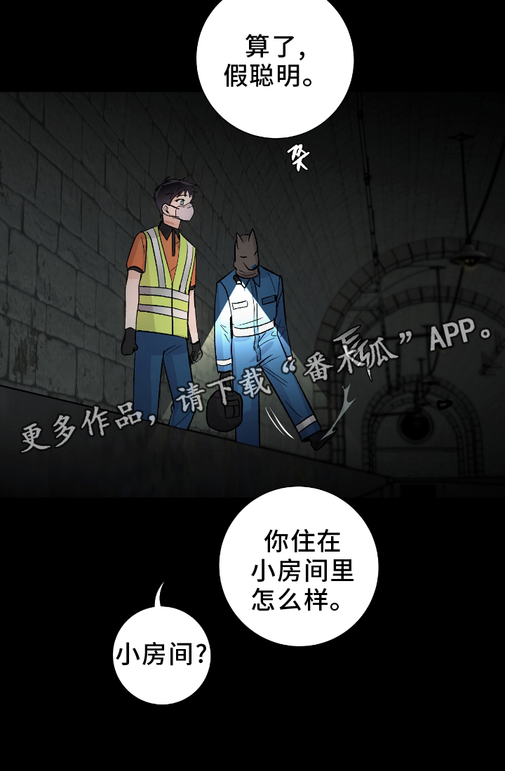 欧文的头脑有多清醒漫画,第23章：闲聊2图